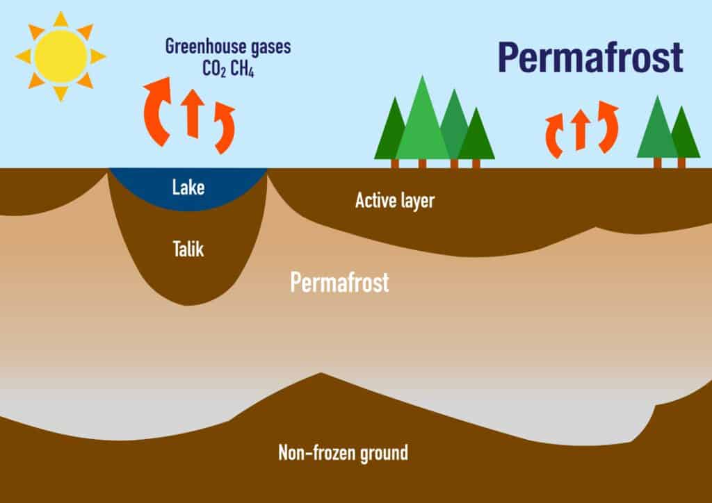 permafrost infographic illustration
