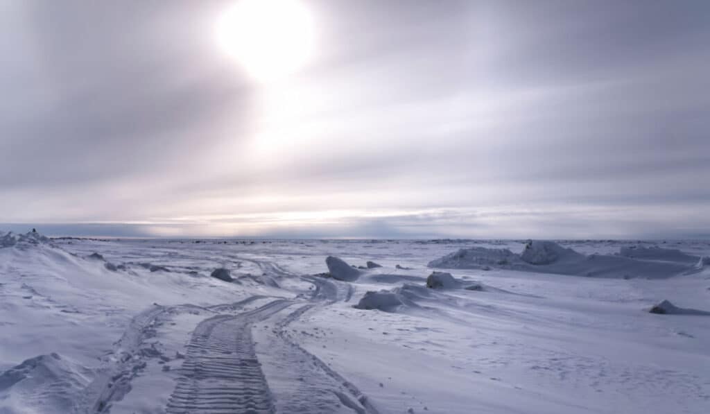 life-in-alaska-in-the-round-the-clock-darkness-of-polar-night-the-new