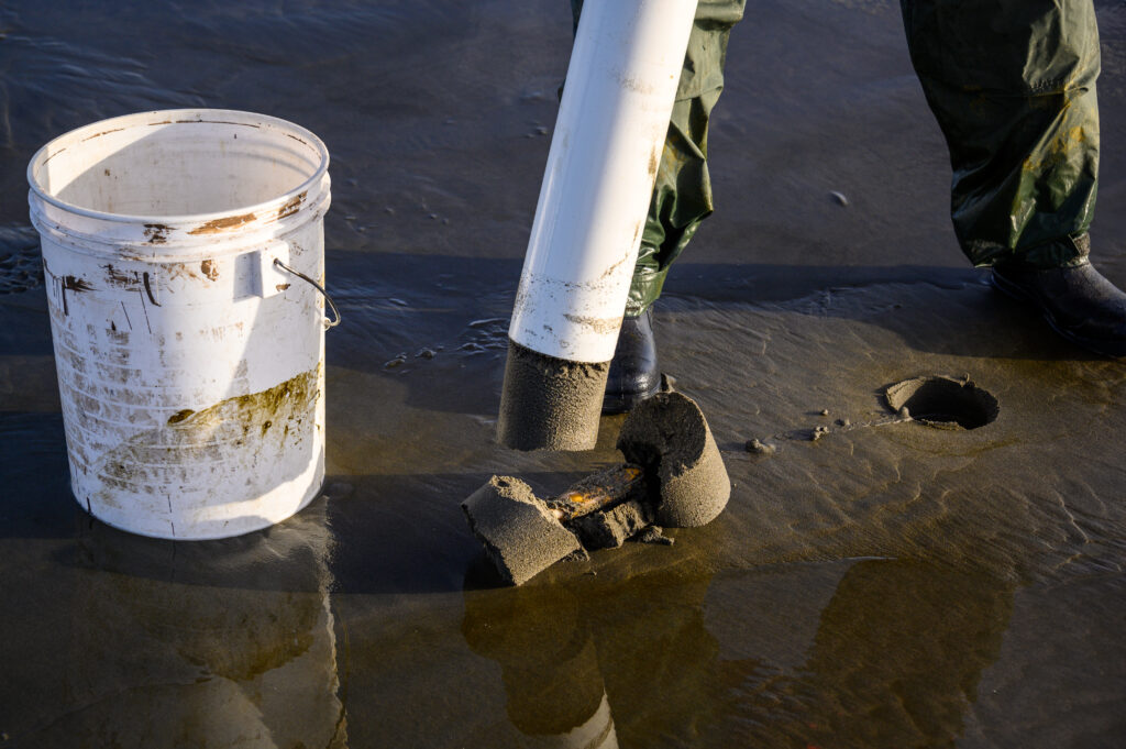 emptying a clam gun (ocean shores, washington)